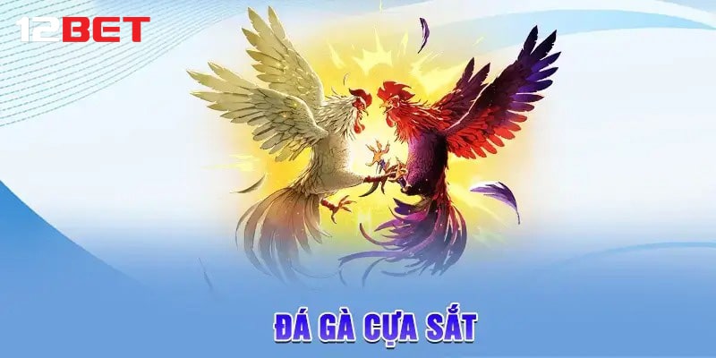 Những ưu điểm vượt trội của gà cựa sắt