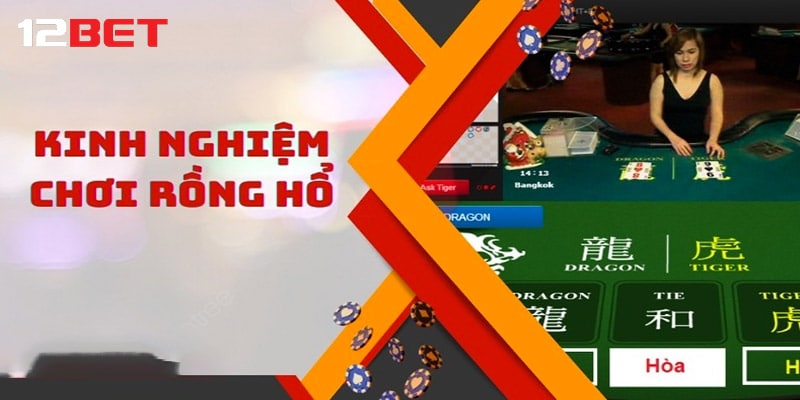 Điểm danh một số kinh nghiệm chơi rồng hổ hay nên áp dụng